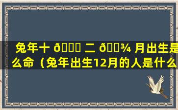 兔年十 🕊 二 🌾 月出生是什么命（兔年出生12月的人是什么星座）